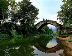 Ming状态火爆结果意外(四照花生长速度) Ming状态火爆结果意外(四照花生长速度)
